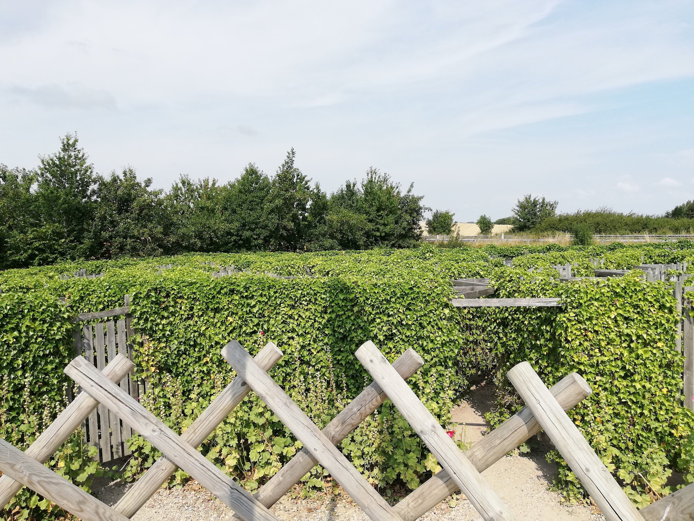 Kalvehave Labyrintpark